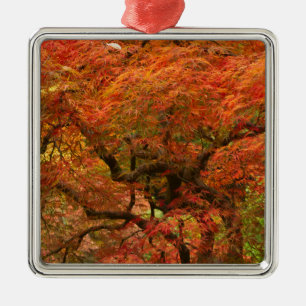 Ornamento De Metal Ácer japonês em cores de outono