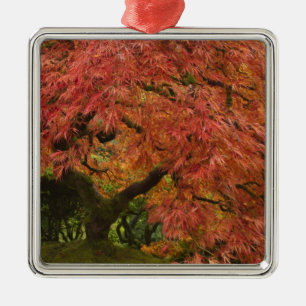 Ornamento De Metal Ácer japonês na cor de outono