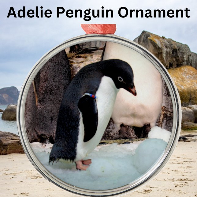 Ornamento De Metal Adelie Penguin Preimium Ornament (Criador carregado)