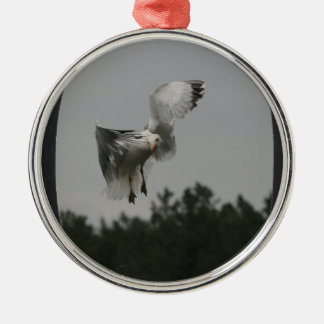 Ornamento De Metal Adicionar Foto Grande Quadro Oval (preto)