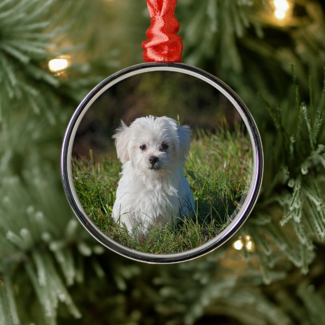 Ornamento De Metal Adorável cachorrinho branco (Árvore)