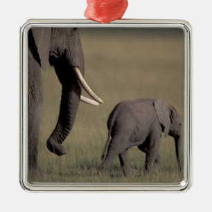 Ornamento De Metal África, Quênia, Parque Nacional de Amboseli. Afric