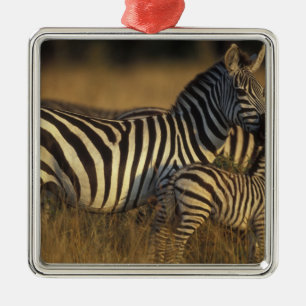 Ornamento De Metal África, Quênia, Reserva de Caça Masai Mara. Planíc