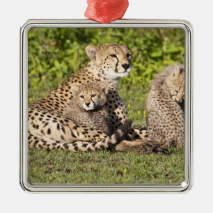 Ornamento De Metal África. Tanzânia. Mãe de chita e filhotes 2