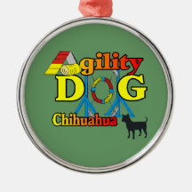 Agilidade Chihuahua