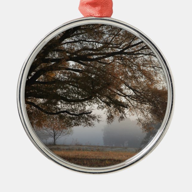 Ornamento De Metal Alcance (Frente)