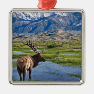 Ornamento De Metal Alces das montanhas rochosas de Colorado