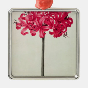 Ornamento De Metal Amaryllis Sarniensis, ou narciso