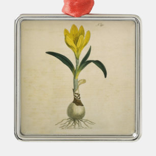 Ornamento De Metal Amaryllis Tulip Botanical Garden Flower