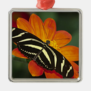 Ornamento De Metal América Central, Costa Rica, Selva Verde