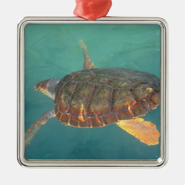 Ornamento De Metal América Central, Panamá, Bocas Del Torro (Frente)