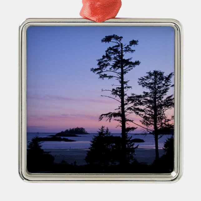 Ornamento De Metal América do Norte, Canadá, ilha de Vancouver, árvor (Frente)