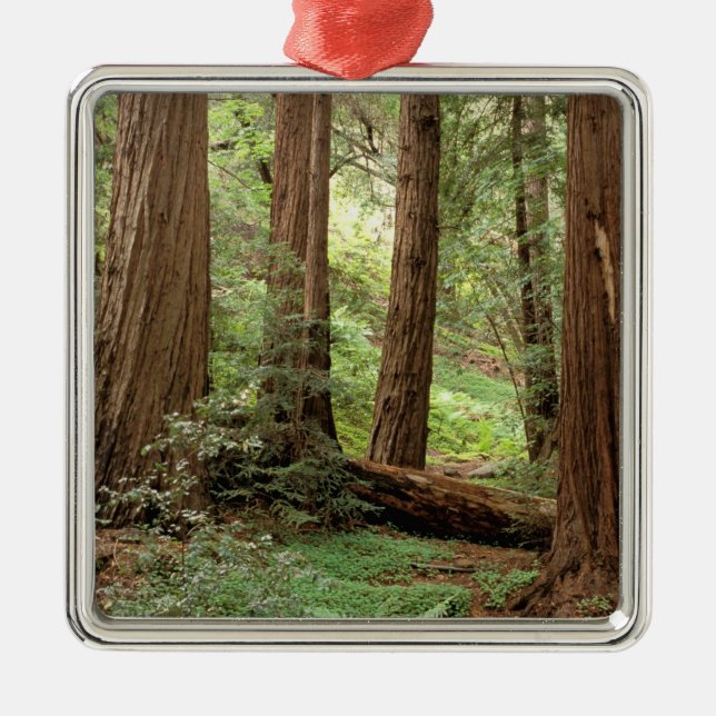 Ornamento De Metal América do Norte, EUA, Califórnia, Big Sur, (Frente)