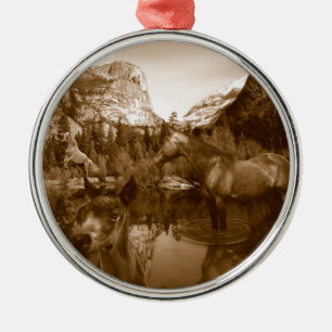 Ornamento De Metal american