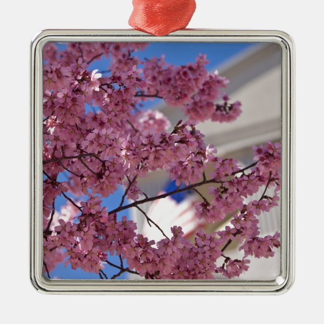 Ornamento De Metal Americana Sakura Cherry Blossoms (Frente)