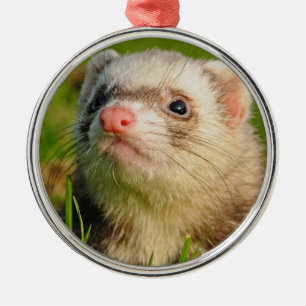 Ornamento De Metal Amigável Pet Ferret