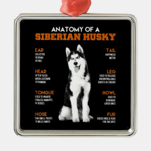 Ornamento De Metal Anatomia de um cão siberiano Husky Arte engraçad