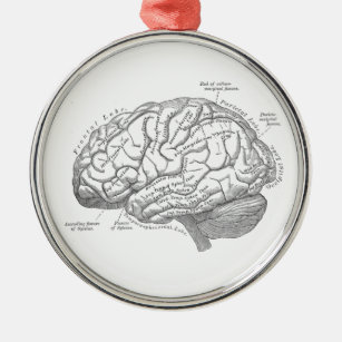 Ornamento De Metal Anatomia do cérebro do vintage