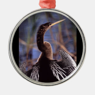 Ornamento De Metal anhinga e asas