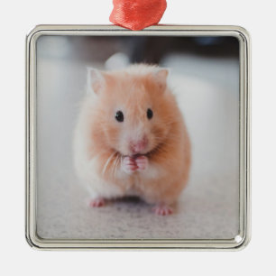 Ornamento De Metal Animais de amores de hamster