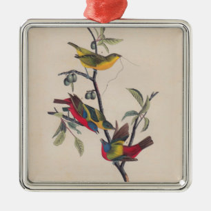 Ornamento De Metal Animais Selvagens de Aves Pintadas com Audubon