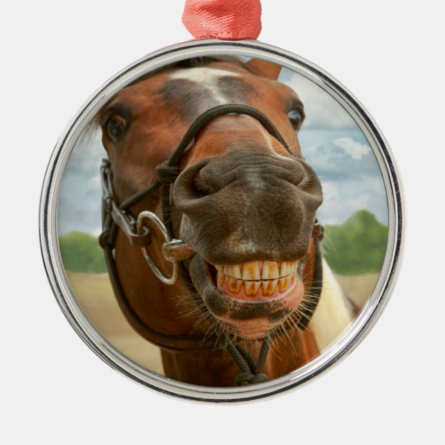 Ornamento De Metal Animal - Cavalo - Finalmente tirei meu aparelho (Frente)