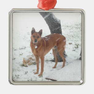 Ornamento De Metal Animal de estimação da coleção do Natal ou fot