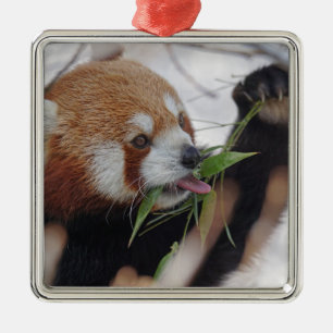 Ornamento De Metal animal impresso panda vermelho fofo
