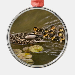Ornamento De Metal Animal - Patos - Nadar como um pato