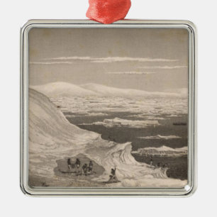 Ornamento De Metal Antártica 2