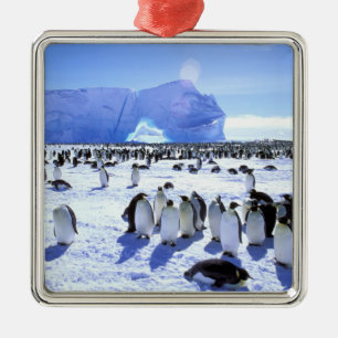 Ornamento De Metal Antártida, Península Antártica, Mar de Weddell, 5