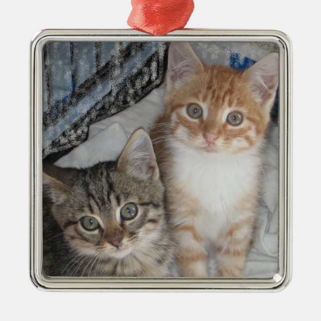 Ornamento De Metal Apenas Gatinhos (Frente)