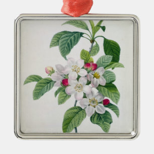 Ornamento De Metal Apple floresce, 'do DES de Les Choix mais Belles