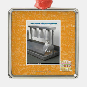 Ornamento De Metal Apronte para o Teleportation