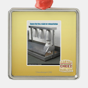 Ornamento De Metal Apronte para o Teleportation