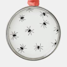 Aracnofobia (Aranhas) (Insetos Assustadores)