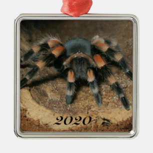 Ornamento De Metal Aranha Vermelha Mexicana Tarantula