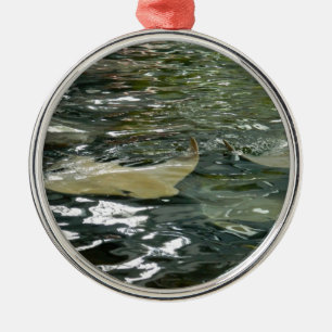 Ornamento De Metal Arraia-lixa