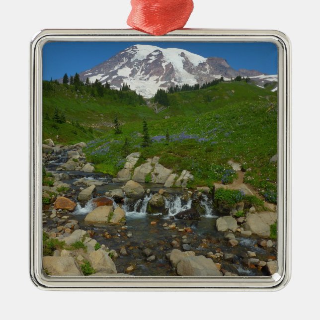 Ornamento De Metal Arroyo Edith no Parque Nacional Mount Rainier (Frente)