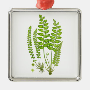 Ornamento De Metal Arte botânica da natureza verde antiga do