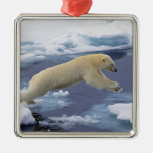 Ornamento De Metal Ártico, Svalbard, Urso Polar estendendo