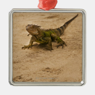 Ornamento De Metal Aruba, lagarto na areia