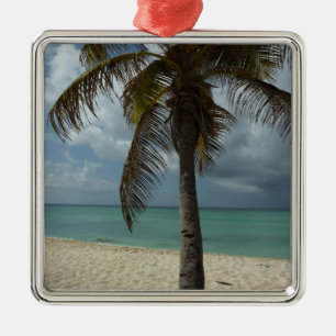 Ornamento De Metal Aruban Beach I Linda cena natural