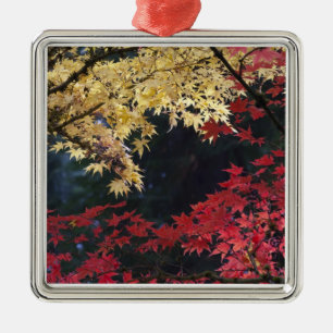 Ornamento De Metal Árvores mapeadas na cor do outono