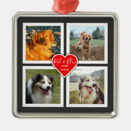 Ornamento De Metal As Memórias Pet Tornam Sua Própria Personalização