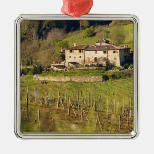 Ornamento De Metal Aschuito, uma fazenda que aceita convidados.