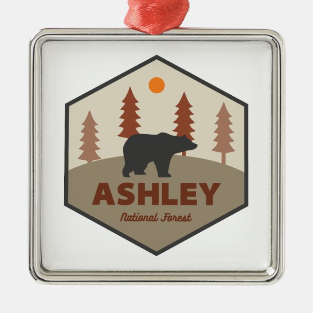 Ornamento De Metal Ashley National Forest Bear (Frente)