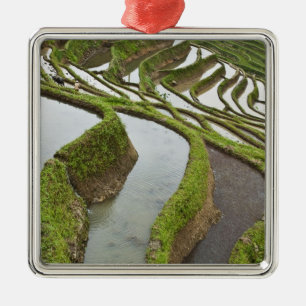 Ornamento De Metal Ásia, China, Yunnan, Yuanyang. Arroz inundado