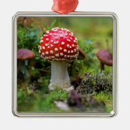 Ornamento De Metal Autumn Beauty