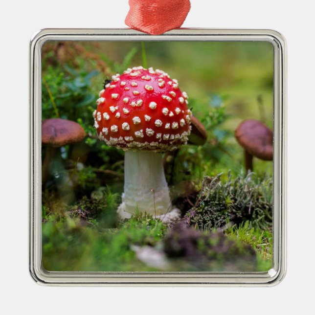 Ornamento De Metal Autumn Beauty (Frente)